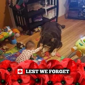 Meet your Posher, Rena